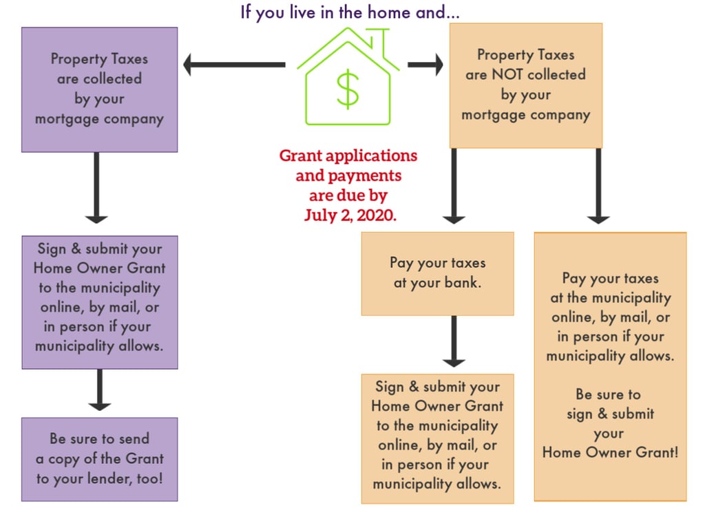 Property Tax 2020 - flow chart only